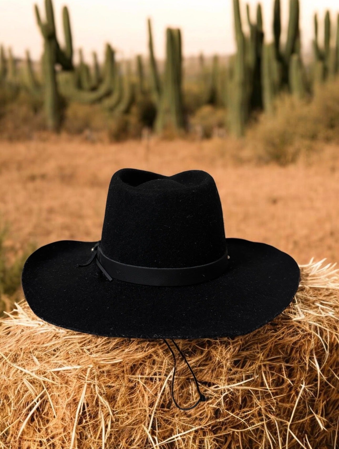 Vintage  Harley-Davidson Wide Brim Felt Fedora Hat